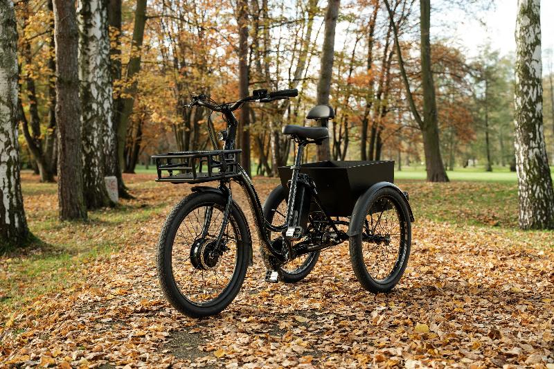 Elektrokolo leader-fox 3860 elektrotrikolka lovelo barva military 8