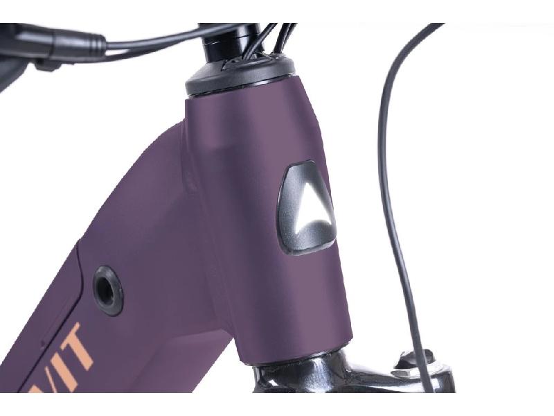 Elektrokolo levit 2928 rivero lowstep barva merlot 2