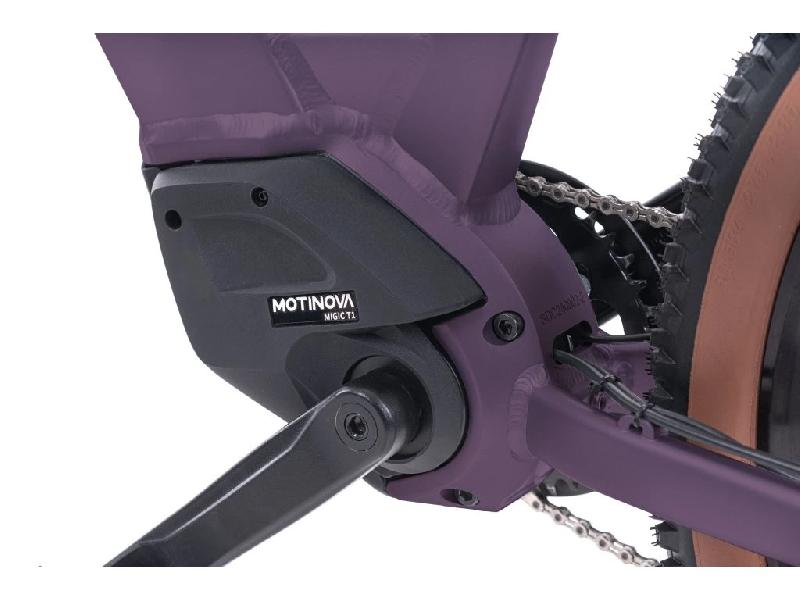 Elektrokolo levit 2928 rivero lowstep barva merlot 4
