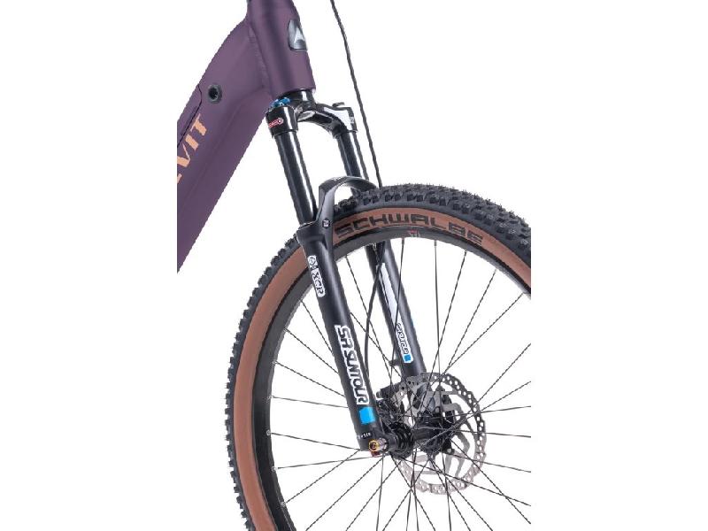 Elektrokolo levit 2929 rivero lowstep barva merlot 1