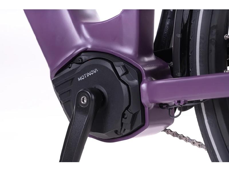 Elektrokolo levit 4481 smazat! beleco rd lowstep 2026 barva bordeaux 3