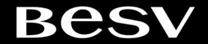 logo BESV